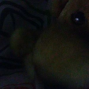 Meet your Posher, Mack